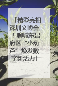 精彩亮相深圳文博会！聊城东昌府区“小葫芦”焕发数字新活力