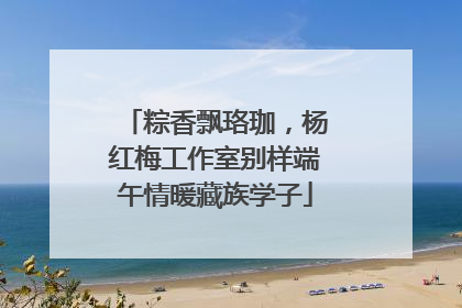粽香飘珞珈，杨红梅工作室别样端午情暖藏族学子