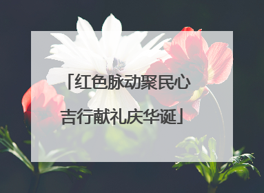 红色脉动聚民心 吉行献礼庆华诞