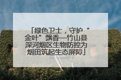 绿色卫士，守护“金叶”飘香—竹山县深河烟区生物防控为烟田筑起生态屏障