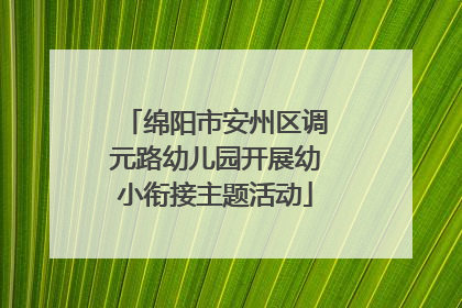 绵阳市安州区调元路幼儿园开展幼小衔接主题活动
