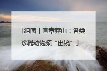 组图｜宜章莽山：各类珍稀动物频“出镜”