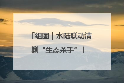 组图｜水陆联动清剿“生态杀手”