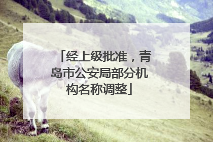经上级批准，青岛市公安局部分机构名称调整