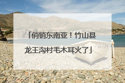俏销东南亚！竹山县龙王沟村毛木耳火了