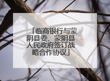 临商银行与蒙阴县委、蒙阴县人民政府签订战略合作协议