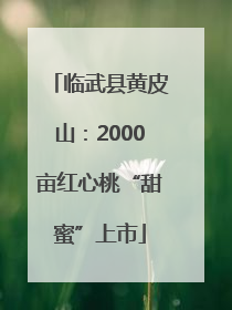 临武县黄皮山：2000亩红心桃“甜蜜”上市