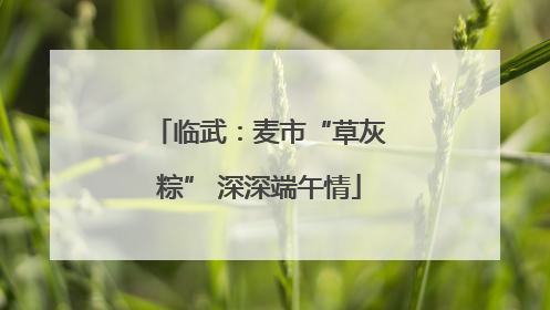 临武：麦市“草灰粽” 深深端午情