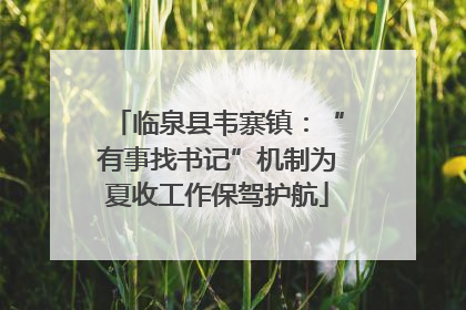 临泉县韦寨镇：“有事找书记”机制为夏收工作保驾护航