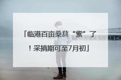 临港百亩桑葚“紫”了！采摘期可至7月初