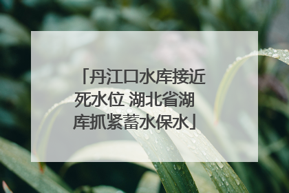 丹江口水库接近死水位 湖北省湖库抓紧蓄水保水