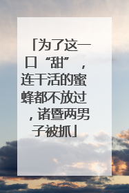 为了这一口“甜”，连干活的蜜蜂都不放过，诸暨两男子被抓