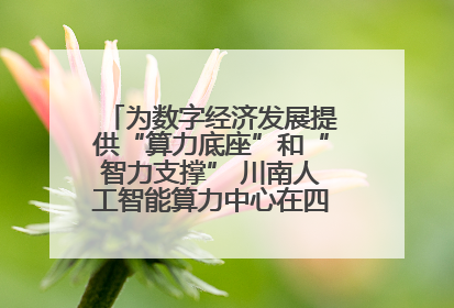 为数字经济发展提供“算力底座”和“智力支撑” 川南人工智能算力中心在四川泸州启动