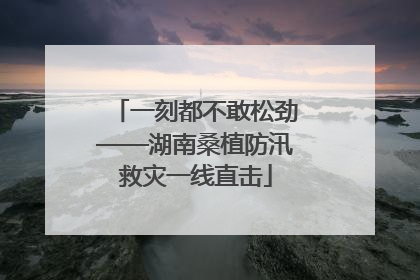 一刻都不敢松劲——湖南桑植防汛救灾一线直击