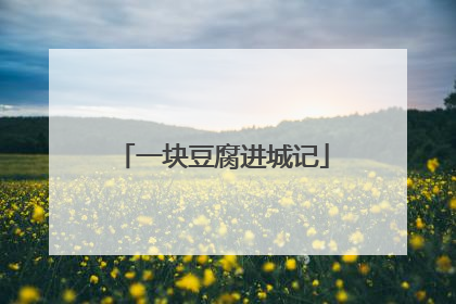 一块豆腐进城记