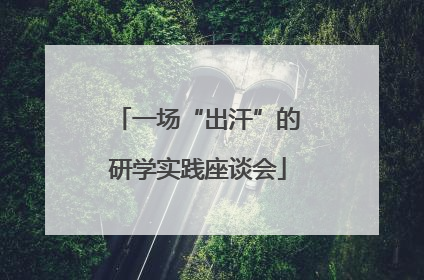 一场“出汗”的研学实践座谈会