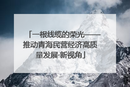 一根线缆的荣光——推动青海民营经济高质量发展·新视角