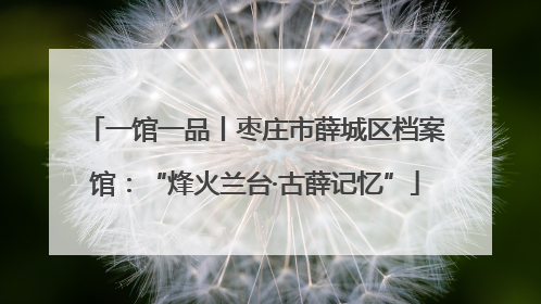 一馆一品丨枣庄市薛城区档案馆：“烽火兰台·古薛记忆”