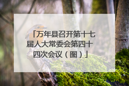 万年县召开第十七届人大常委会第四十四次会议（图）