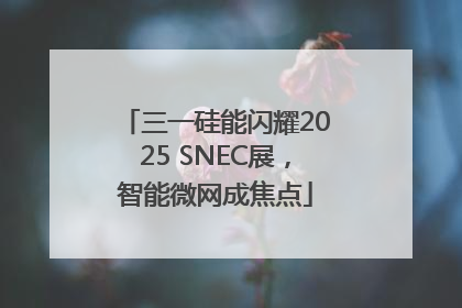 三一硅能闪耀2025 SNEC展，智能微网成焦点
