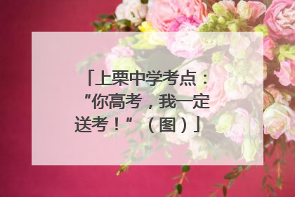 上栗中学考点：“你高考，我一定送考！”（图）