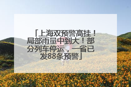 上海双预警高挂！局部雨量中到大！部分列车停运，一省已发88条预警