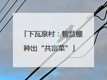 下瓦泉村：智慧棚种出“共富菜”