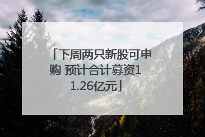 下周两只新股可申购 预计合计募资11.26亿元