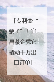 专利变“票子”！宜昌茶企凭它撬动千万出口订单