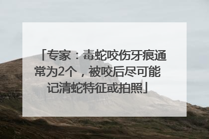 专家：毒蛇咬伤牙痕通常为2个，被咬后尽可能记清蛇特征或拍照