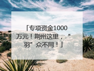 专项资金1000万元！荆州这里，“羽”众不同！