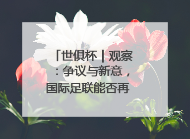 世俱杯｜观察：争议与新意，国际足联能否再造世界杯？