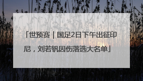 世预赛｜国足2日下午出征印尼，刘若钒因伤落选大名单
