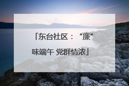 东台社区：“廉”味端午 党群情浓