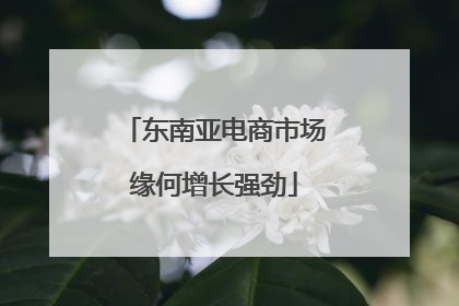 东南亚电商市场缘何增长强劲