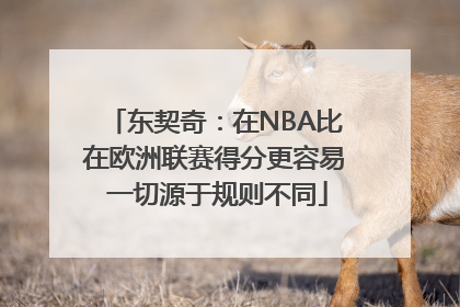 东契奇：在NBA比在欧洲联赛得分更容易 一切源于规则不同