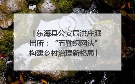 东海县公安局洪庄派出所：“五勤织网法”构建乡村治理新格局