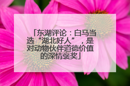 东湖评论：白马当选“湖北好人”，是对动物伙伴道德价值的深情褒奖