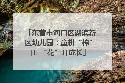 东营市河口区湖滨新区幼儿园：童耕“棉”田 “花”开成长