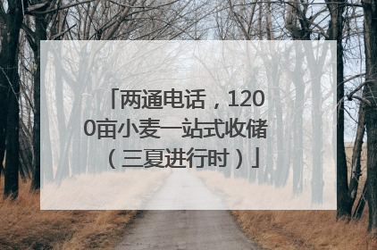 两通电话，1200亩小麦一站式收储（三夏进行时）