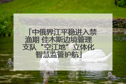 中俄界江平稳进入禁渔期 佳木斯边境管理支队“空江地”立体化智慧监管护航