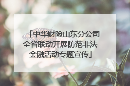 中华财险山东分公司全省联动开展防范非法金融活动专题宣传