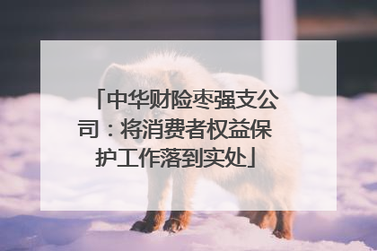 中华财险枣强支公司：将消费者权益保护工作落到实处