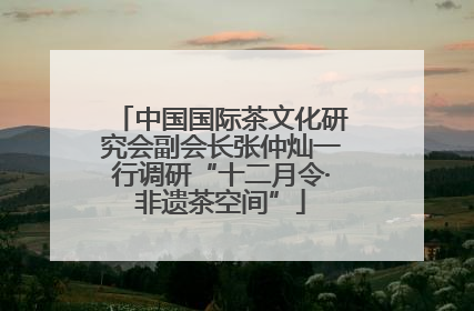 中国国际茶文化研究会副会长张仲灿一行调研“十二月令·非遗茶空间”