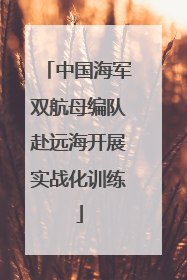 中国海军双航母编队赴远海开展实战化训练
