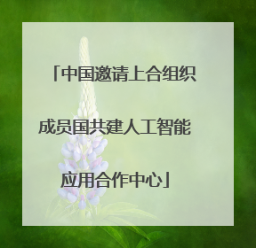 中国邀请上合组织成员国共建人工智能应用合作中心