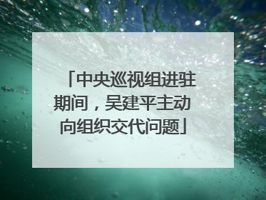 中央巡视组进驻期间，吴建平主动向组织交代问题