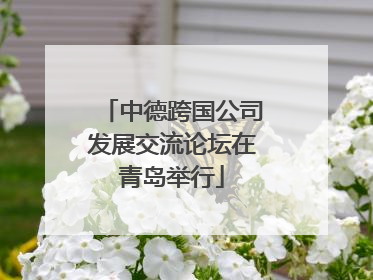 中德跨国公司发展交流论坛在青岛举行