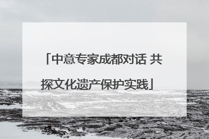 中意专家成都对话 共探文化遗产保护实践