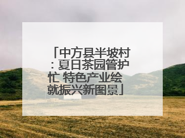 中方县半坡村：夏日茶园管护忙 特色产业绘就振兴新图景